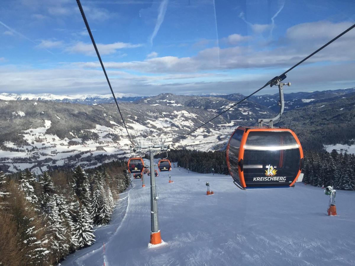 Alpenferienhaus Sophia St. Lorenzen ob Murau Zewnętrze zdjęcie
