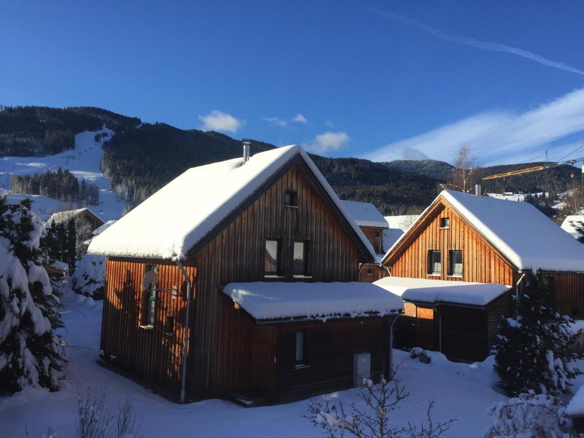 Alpenferienhaus Sophia St. Lorenzen ob Murau Zewnętrze zdjęcie