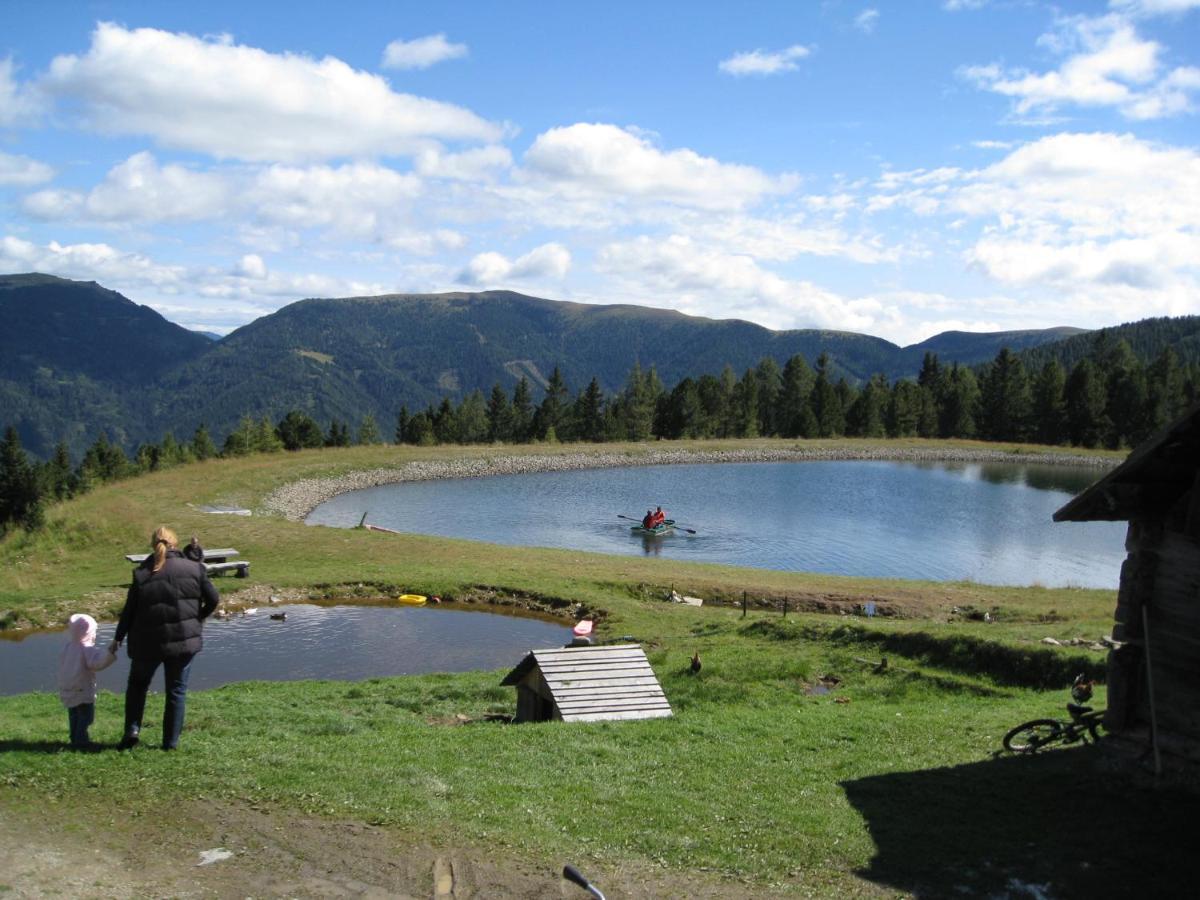 Alpenferienhaus Sophia St. Lorenzen ob Murau Zewnętrze zdjęcie