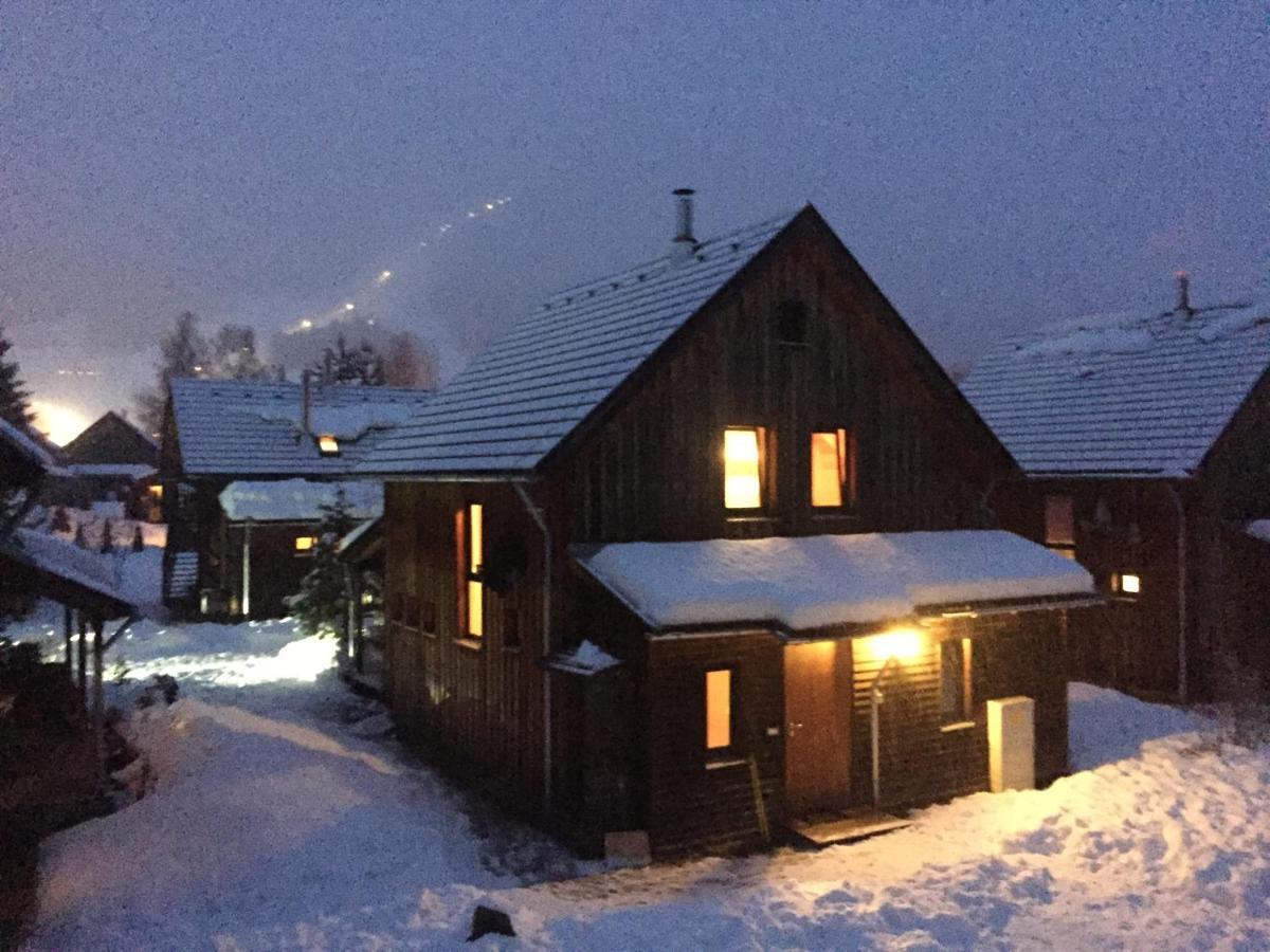 Alpenferienhaus Sophia St. Lorenzen ob Murau Zewnętrze zdjęcie